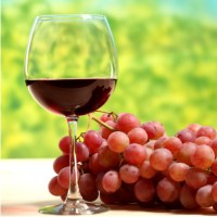 виноград, рак, вино, ресвератрол