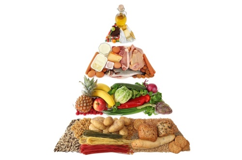 пирамида питания