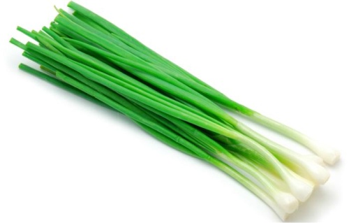 зеленый лук