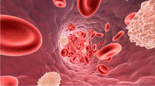 гемоглобин, кровь
