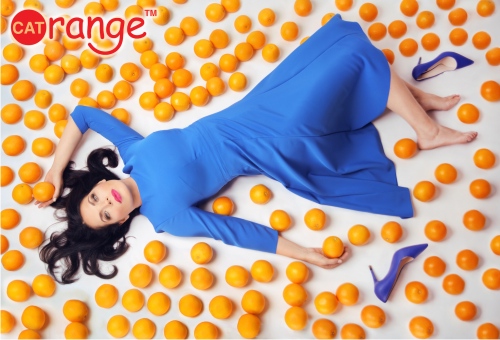 коллекция Cat Orange